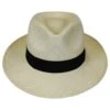 Panama Straw C-Crown Fedora Hat -Novel Accessories 146968