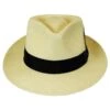 Stain Repellent Panama Straw C-Crown Fedora Hat 2 Stain Repellent Panama Straw C-Crown Fedora Hat -Novel Accessories 192831