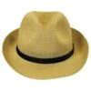 Bailey Elliot Straw Fedora Hat 2 Bailey Elliot Straw Fedora Hat -Novel Accessories 235049