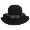 Hayden Wool Felt Floppy Hat 2 Hayden Wool Felt Floppy Hat -Novel Accessories 257459