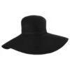 Sophia Toyo Straw Swinger Hat 2 Sophia Toyo Straw Swinger Hat -Novel Accessories 268764