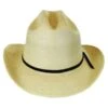 Open Road Guatemalan Fine Palm Leaf Straw Hat -Novel Accessories 275981