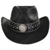 Rhinestone Raffia Straw Western Hat 2 Rhinestone Raffia Straw Western Hat -Novel Accessories 281747