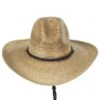 Pecos Palm Straw Gus Western Hat