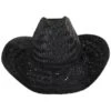 Houston Rush Straw Cowboy Hat - Black -Novel Accessories 440913