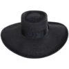 Large Brim Toyo Straw Gambler Hat -Novel Accessories 444759