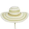 Yuri Toyo Straw Striped Swinger Hat -Novel Accessories 465195