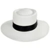 Grade 10 Panama Straw Gambler Hat 1 Grade 10 Panama Straw Gambler Hat -Novel Accessories 468869