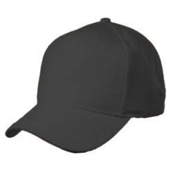 Otto Pro Wool Snapback Baseball Cap